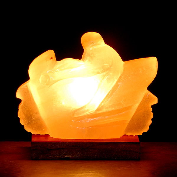 lampada_di_sale_motociclista