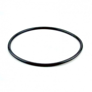 Guarnizione coperchio filtro AstralPool Berlin originale