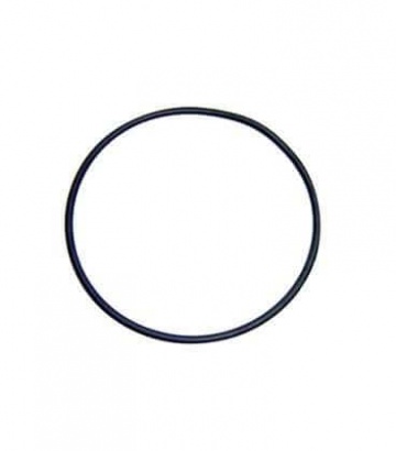 Guarnizione del coperchio della pompa Astral Sena