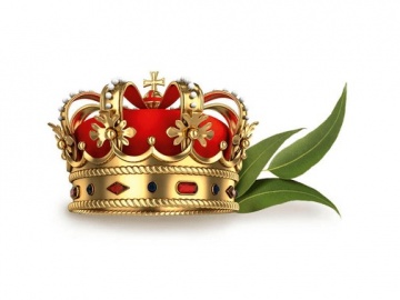 Olio per saune finlandesi 100 ml - ROYAL EUCAMENT