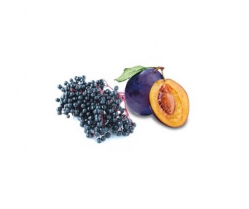 Olio per saune secche 100 ml - PRUGNA E SAMBUCO