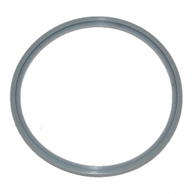 Guarnizione del contenitore per cella AUTOCHLOR SMC + MINI 8RP