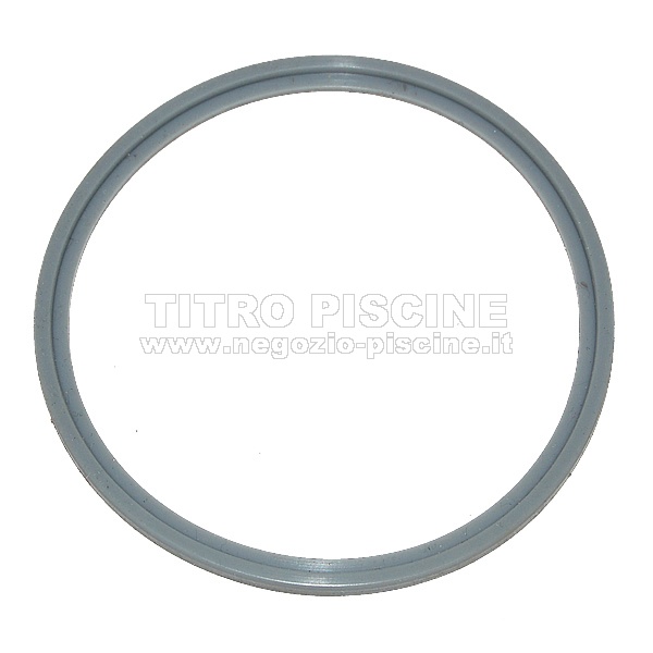 Guarnizione del contenitore per la cella del clorinatore AUTOCHLOR